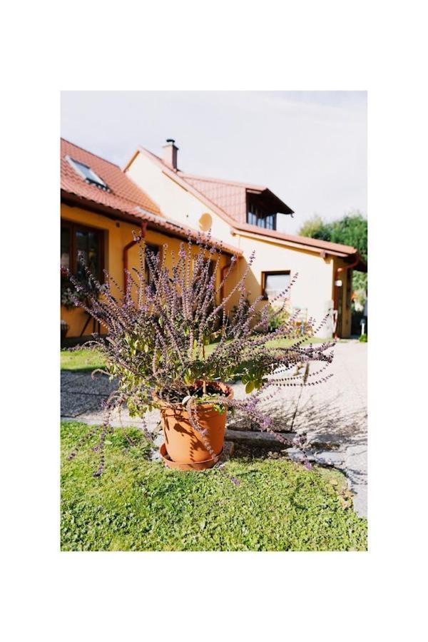 Apartmany U Kaplicky Kamyk nad Vltavou Zewnętrze zdjęcie