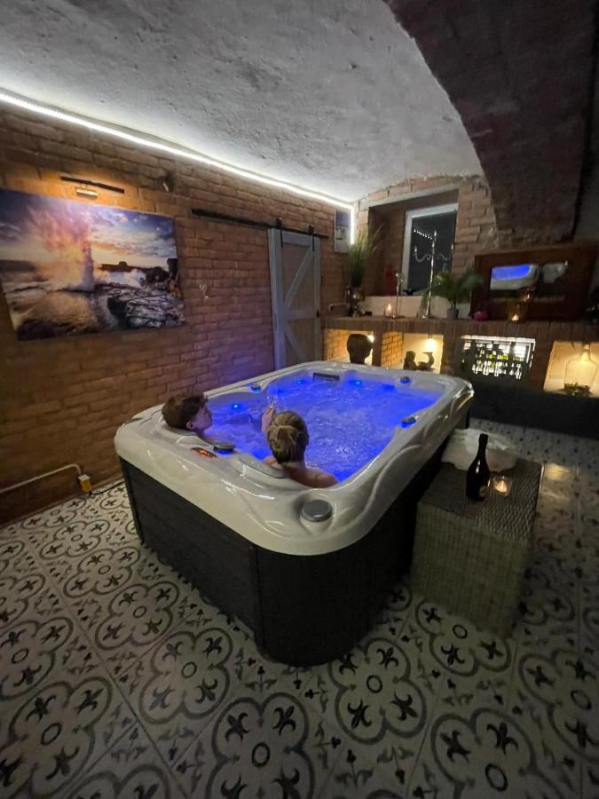 Apartmany U Kaplicky Kamyk nad Vltavou Zewnętrze zdjęcie