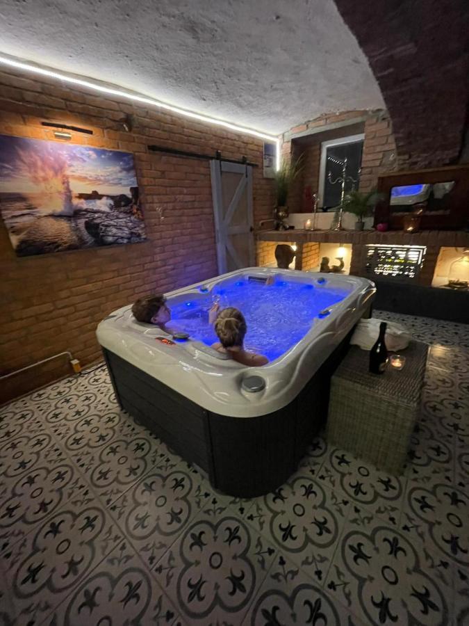 Apartmany U Kaplicky Kamyk nad Vltavou Zewnętrze zdjęcie